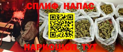прущие грибы Пенза