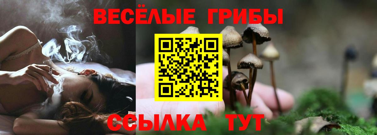 Галлюциногенные грибы Magic Shrooms  Вход с VPN  Псилоцибиновые грибы мицелий  Саянск 